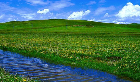 05