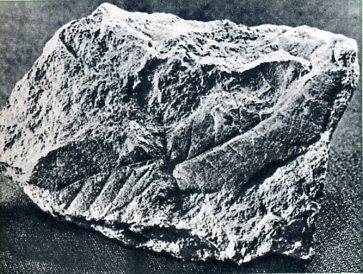 79