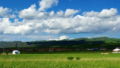 桑科草原